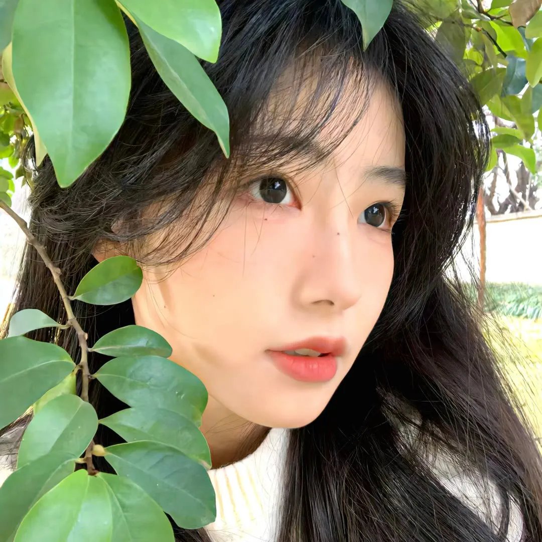 一本正经